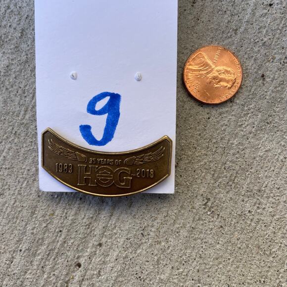 35 Year Anniversary Harley Davidson Hog Lapel Pin 2018 - Picture 9 of 10